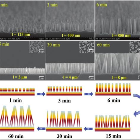 Reflectance Spectra Of Planar Si And Sinws Coated Pedot Pss Gr