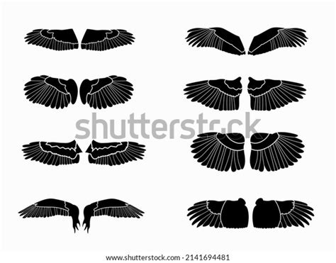 Bird Wing Silhouette Collection Wing Vector Stock Vector (Royalty Free ...