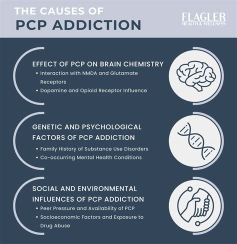 Phencyclidine Addiction: Signs, Causes, Effects, Treatment and ...