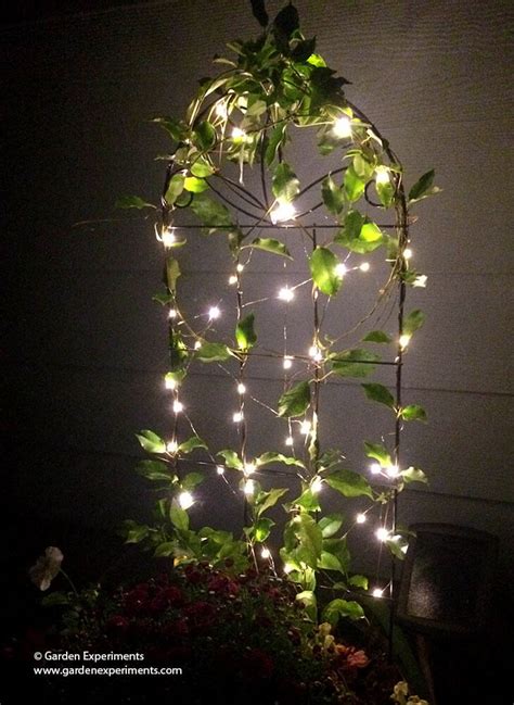 Use Fairy Lights in a Container Garden