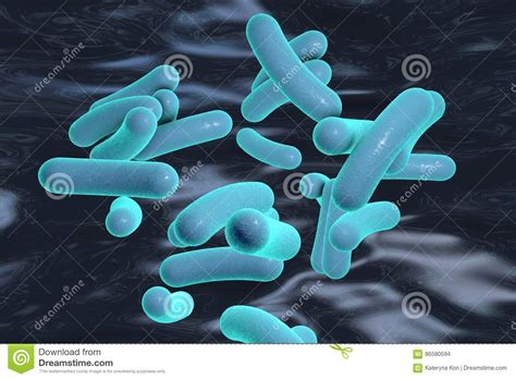 Batterio Di Vibrio Cholerae Illustrazione Di Stock Illustrazione Di