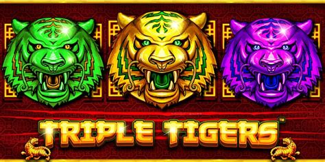 Triple Tigers Pragmatic Play Slot Review AboutSlots