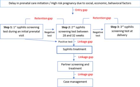 Preventing Congenital Syphilis Importance Of Screening And Treatment