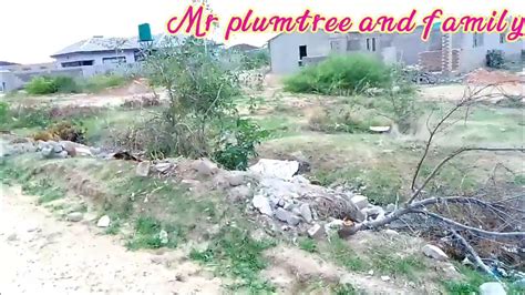 Mathendele Extension 🇿🇼 Plumtree Town Zimbabwe Youtube