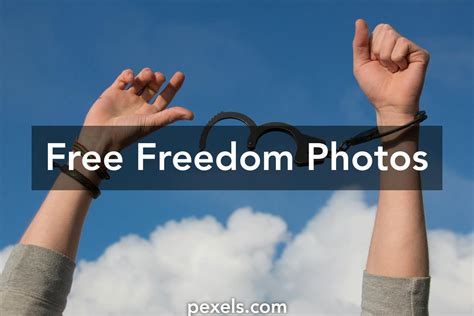 250+ Amazing Freedom Photos · Pexels · Free Stock Photos