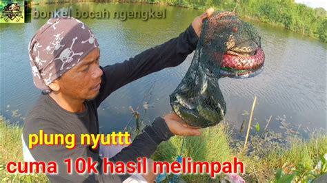 Asal Kuat Mancing Disini Di Sini Di Jamin Dapet Banyak Ikan Mancing