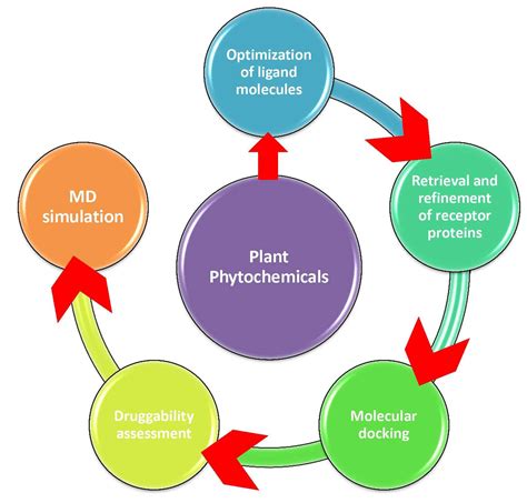 Molecules Free Full Text Molecular Docking And Simulation Binding Analysis Of Plant