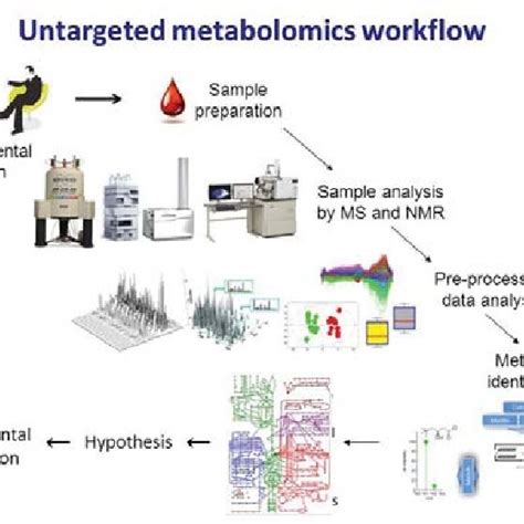 untargeted metabolomics work fl ow  scientific diagram