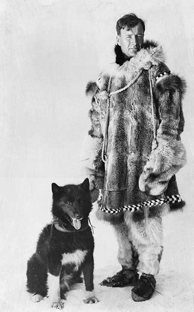 Genome of famed sled dog Balto reveals genetic adaptations of working dogs