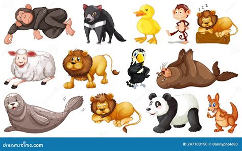 Different Wild Animals on White Background Stock Vector - Illustration of lamb, primate: 247103150