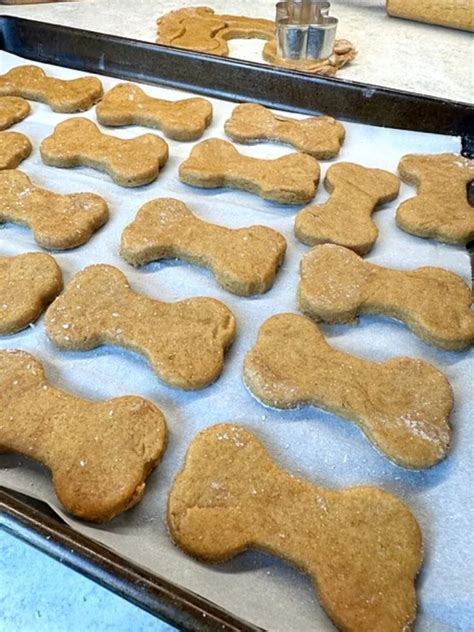 How To Make Dog Treats Gbs Kitchen