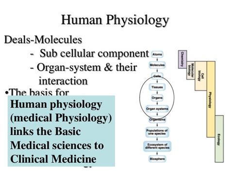 Physiology definition