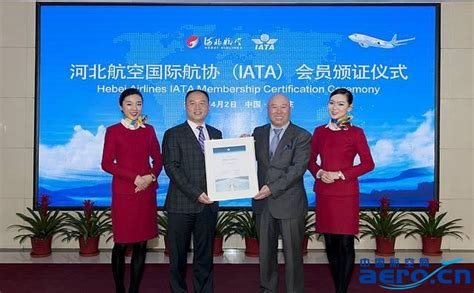 河北航空正式成为国际航协（iata）会员航空翻译飞行翻译民航翻译蓝天飞行翻译公司