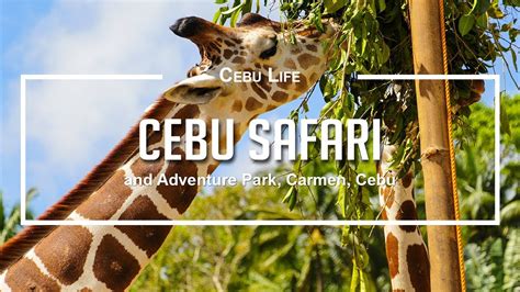 Cebu Safari And Adventure Park Cebu Life S E Youtube