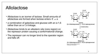 Iptg induction | PPT