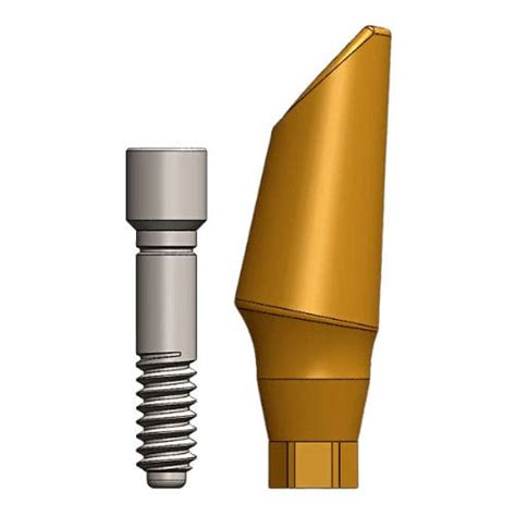 Implantat Abutment Titan Dental Evolutions Inc Mit