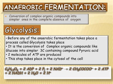 Aerobic and Anaerobic Fermentation