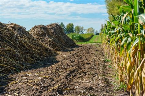 Premium Photo | Biomass energy production from agricultural waste ...