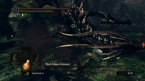 Dark Souls Matando O Black Dragon Kalameet Youtube