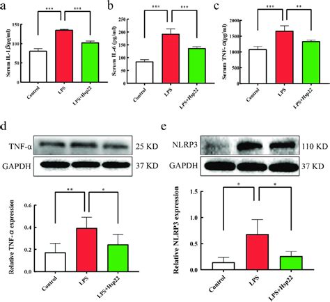 Hsp22 Pre Treatment Alleviates Cardiac Inflammation Induced By LPS