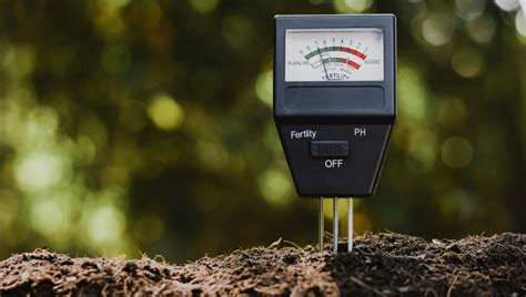 How to Lower pH in Soil: Why, When, and How? - Grow Your Yard