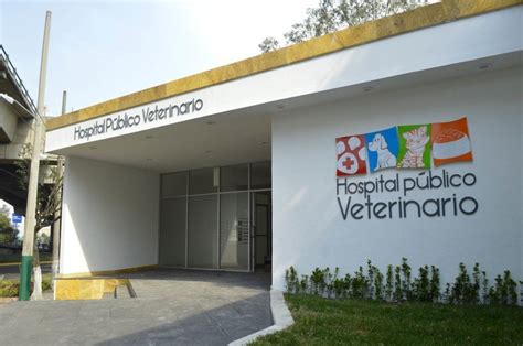 México Inaugura El Primer Hospital Veterinario Público