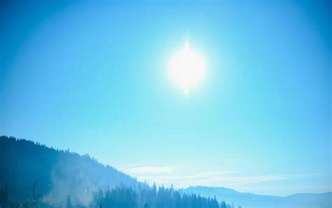 sunny morning stock  images  backgrounds