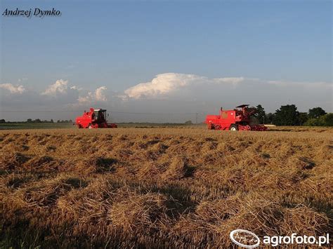 Bizon Rekord Z058 Bizon Super Z056 Albumy użytkowników Agrofoto