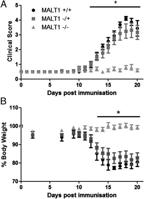 Paracaspase Malt1 Deficiency Protects Mice From Autoimmune Mediated