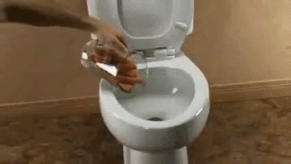 My new toilet wants to eliminate dogs : r/keming