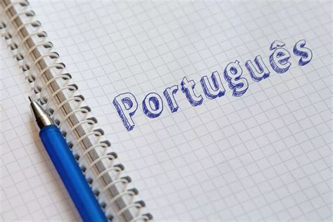 Quais Mat Rias Estudar Para Concurso P Blico Guia Completo