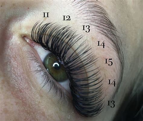 Eyelash Extension Training - Wonderlash Studio