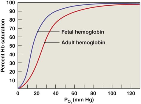 FETAL HAEMOGLOBIN LabTest