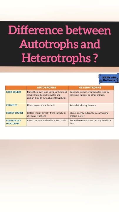 Differences Between Autotrophs And Heterotrophs Class Vii Ix And X