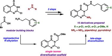 Modular And Divergent Synthesis Of N Disubstituted Quinazolinones