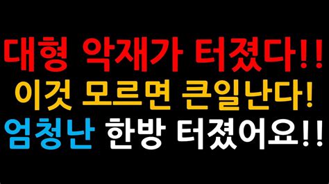 삼성전자 엄청난 한방 엔비디아 And 테슬라이것 폭탄선물 터졌다 Youtube