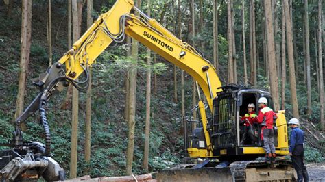 Le Japon Va Remplacer Les C Dres Par Des Arbres Faible Teneur En