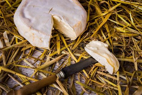 Closeup Shot Of A French Tomme De Savoie Cheese Stock Photo Image Of