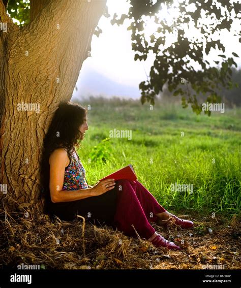 Mujer sentada bajo el árbol leyendo un libro Fotografía de stock Alamy