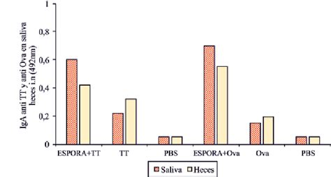 Respuesta mucosa de IgA específi cos contra Ova y TT en saliva y heces