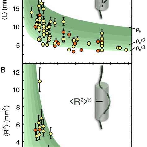 Experimental Measurements Of The A Longitudinal And B Transverse Download Scientific