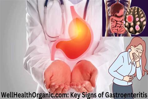 WellHealthOrganic Key Signs Of Gastroenteritis