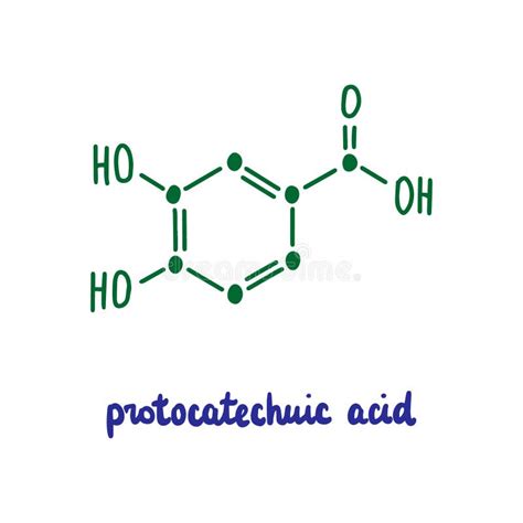 Protocatechuic Acid Hand Drawn Vector Formula Chemical Structure Lettering Blue Green Stock