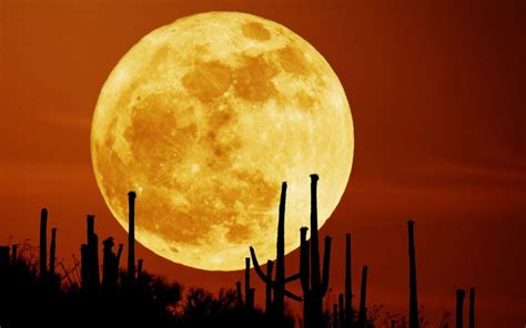 On November Th Youll See The Biggest Supermoon In The St Century