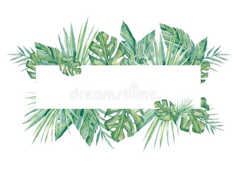 Feuilles Tropicales Et Branches De Banni Re D Aquarelle D Isolement Sur