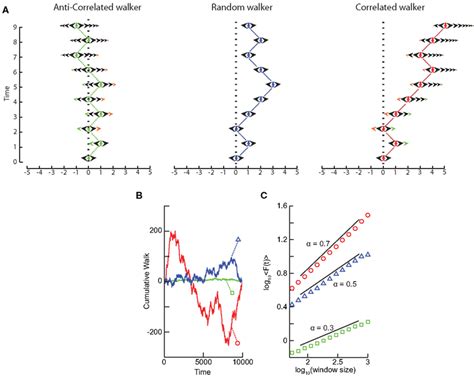 Frontiers Detrended Fluctuation Analysis A Scale Free View On