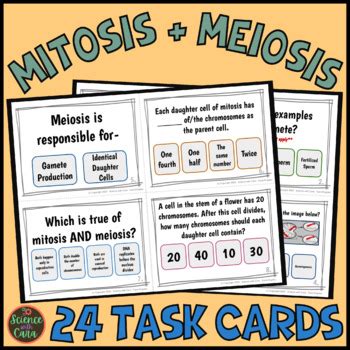 What S Mitosis And Meiosis Task Cards By Science With Cara TPT