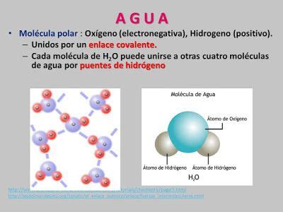 Composición química del agua