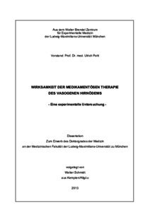 Wirksamkeit Der Medikament Sen Therapie Des Vasogenen Hirn Dems