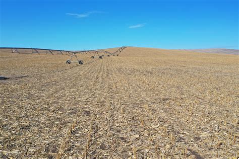 161 57 ACRES PIVOT IRRIGATED CROPLAND BUFFALO COUNTY NE